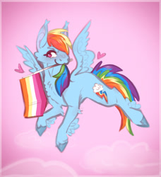 Size: 1539x1688 | Tagged: safe, artist:fussypaws, rainbow dash, pegasus, pony, g4, blushing, chest fluff, ear fluff, female, flying, headcanon, heart, lesbian pride flag, looking offscreen, mouth hold, pink background, pride, pride flag, sexuality headcanon, simple background, solo