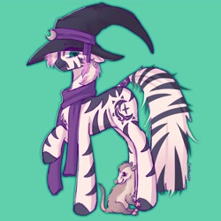 Size: 2048x2048 | Tagged: safe, artist:yumkandie, oc, oc only, opossum, zebra, clothes, crescent moon, hat, high res, moon, scarf, simple background, solo, witch hat, zebra oc