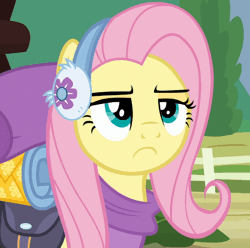 Size: 640x636 | Tagged: safe, edit, edited screencap, screencap, fluttershy, pegasus, pony, dungeons and discords, g4, season 6, accessory, animated, backpack, cropped, female, fluttershy is not amused, mare, raised eyebrow, solo, unamused