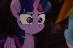 Size: 640x422 | Tagged: safe, screencap, fluttershy, rainbow dash, twilight sparkle, alicorn, pegasus, pony, g4, my little pony: the movie, angry, animated, are you fucking kidding me, cropped, facehoof, female, mare, movie, offscreen character, reaction image, seriously, solo focus, twilight sparkle (alicorn), twilight sparkle is not amused, unamused, yelling