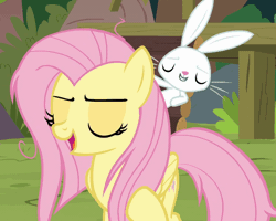Size: 640x512 | Tagged: safe, screencap, angel bunny, fluttershy, pegasus, pony, rabbit, g4, season 9, she talks to angel, angel is a bunny bastard, animal, animated, cropped, duo, female, gif, male, mare, messy mane, talking, tired