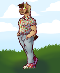 Size: 616x747 | Tagged: safe, artist:tyotheartist1, oc, oc only, oc:royal ranks, earth pony, anthro, anthro oc, cloud, converse, day, earth pony oc, eyebrows, grass, hand in pocket, male, shoes, sky, solo, stallion