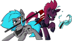 Size: 4900x2850 | Tagged: safe, artist:sorajona, artist:the-wag, fizzlepop berrytwist, tempest shadow, oc, oc:sorajona, oc:sorajona darkwing, pegasus, pony, unicorn, g4, my little pony: the movie, armor, broken horn, canon x oc, chest fluff, clothes, collaboration, cute, duo, female, heterochromia, horn, looking at each other, looking at someone, mare, neckerchief, scar, scarf, scene hair, scythe, sickle, simple background, smiling, smirk, tail, teamwork, tempestbetes, transparent background, wingless