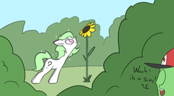 Size: 1940x1080 | Tagged: safe, artist:happy harvey, oc, oc only, oc:anon, oc:filly anon, earth pony, human, pony, adult, alternate design, bush, cap, dialogue, ears back, female, filly, flower, hat, male, phone drawing, pokémon, shiny, sniffing, sparkles, sunflower