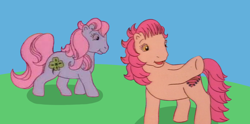 Size: 1498x744 | Tagged: safe, artist:katianagirlfan53, edit, clover (g1), patch (g1), earth pony, pony, g1, my little pony tales, cloverbetes, cute, duo, female, field, grass, grass field, kevin michael richardson, mare, outdoors, patch guy, patchabetes, shadow, voice actor joke