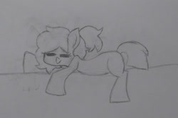 Size: 1280x856 | Tagged: safe, artist:applejacko1112, oc, oc only, oc:auxie, earth pony, pony, sleeping, solo, traditional art