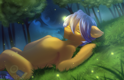 Size: 2277x1476 | Tagged: safe, artist:kawipie, oc, oc only, oc:crushingvictory, firefly (insect), insect, pegasus, pony, commission, eyes closed, folded, grass, grass field, night, pegasus oc, sleeping, solo, tree, ych result