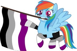 Size: 1304x865 | Tagged: safe, artist:yeetmedownthestairs, rainbow dash, pegasus, pony, g4, asexual, asexual pride flag, clothes, commission, cute, dashabetes, face paint, female, flag, grin, mare, mouth hold, pride, pride flag, pride month, pride socks, raised hoof, raised leg, simple background, smiling, socks, solo, striped socks, transparent background, ych result