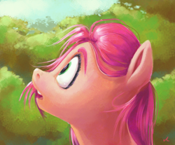 Size: 3450x2850 | Tagged: safe, artist:docwario, sunny starscout, earth pony, pony, g5, amazed, astonished, bust, female, high res, looking at something, looking up, mare, open mouth, outdoors, profile, solo, wide eyes