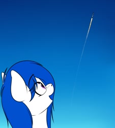 Size: 1488x1644 | Tagged: safe, artist:seafooddinner, oc, oc only, oc:rfapone, earth pony, pony, bust, earth pony oc, female, looking up, mare, open mouth, rfa, rocket, sky, solo