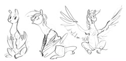 Size: 1200x582 | Tagged: safe, artist:alumx, rainbow dash, pegasus, pony, g4, female, grayscale, harpydash, mare, monochrome, simple background, sitting, sketch, solo, spread wings, white background, wing arms, wings