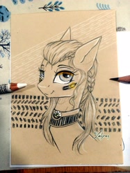 Size: 2893x3862 | Tagged: safe, artist:lailyren, oc, oc only, pony, braid, high res, ponified, sketch, skoda, solo, traditional art