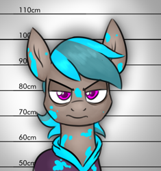 Size: 833x885 | Tagged: safe, artist:moonatik, oc, oc only, oc:street cred, earth pony, pony, angry, bags under eyes, bust, clothes, hoodie, mugshot, paint, solo