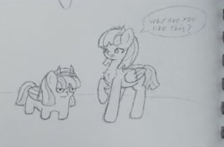 Size: 2961x1948 | Tagged: safe, artist:sodapop sprays, oc, oc:cannoli, oc:éclair, pegasus, pony, concerned, female, folded wings, mane, mare, missing cutie mark, sextuplet, siblings, sisters, tail, traditional art, wings