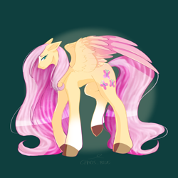 Size: 2048x2048 | Tagged: safe, artist:cha0sblue, fluttershy, pegasus, pony, g4, colored wings, gradient wings, high res, lidded eyes, looking at you, solo, spread wings, wings