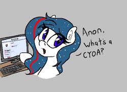 Size: 470x342 | Tagged: safe, artist:seafooddinner, oc, oc only, oc:nasapone, earth pony, pony, /mlp/, 4chan, aggie.io, computer, cyoa, dialogue, ear fluff, earth pony oc, eye clipping through hair, eyebrows, eyebrows visible through hair, female, gray background, implied anon, keyboard, mare, monitor, open mouth, simple background, solo, talking