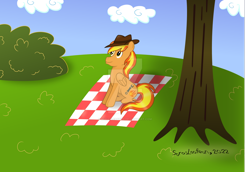 Size: 1024x703 | Tagged: safe, artist:sorasleafeon, oc, oc only, oc:firey ratchet, pegasus, pony, blue sky, bush, cloud, day, deviantart watermark, feathered wings, folded wings, grass, hat, looking up, male, obtrusive watermark, original character do not steal, outdoors, picnic blanket, signature, sitting, sky, smiling, solo, stallion, tree, watermark, wings