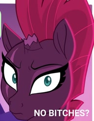 Size: 503x648 | Tagged: safe, artist:katharviss1, artist:maybehawthorn, edit, tempest shadow, pony, unicorn, g4, broken horn, cropped, horn, meme, no bitches?, solo