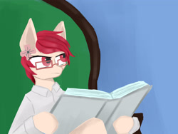 Size: 3671x2764 | Tagged: safe, artist:cunben_mapleleaf, oc, oc:yang_bai, pony, chair, clothes, down beat bear, glasses, high res, meme, newspaper, ponified meme, tom and jerry, tom reading the newspaper
