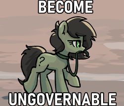 Size: 695x598 | Tagged: safe, artist:plunger, oc, oc only, oc:filly anon, earth pony, pony, become ungovernable, caption, collar, earth pony oc, female, filly, foal, image macro, leash, meme, mouth hold, ponified animal photo, ponified meme, raised hoof, side view, solo, text, walking