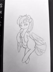 Size: 2797x3730 | Tagged: safe, artist:sodapop sprays, oc, oc only, oc:cannoli, pegasus, pony, chest fluff, female, flying, high res, mare, sextuplet, solo, spread wings, traditional art, wings