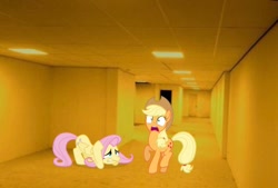 Size: 750x507 | Tagged: safe, artist:benpictures1, artist:guillex3, artist:tardifice, applejack, fluttershy, earth pony, pegasus, pony, g4, applejack's hat, carpet, cowboy hat, cute, duo, duo female, female, hallway, hat, irl, jackabetes, lights, mare, photo, ponies in real life, scared, shyabetes, the backrooms