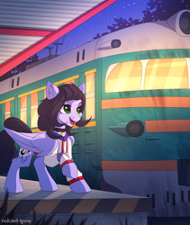 Size: 2000x2365 | Tagged: safe, artist:redchetgreen, oc, oc only, oc:skiu, pegasus, pony, bell, bell collar, clothes, collar, commission, high res, night, smiling, solo, train, train station