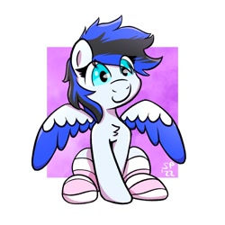 Size: 1222x1223 | Tagged: safe, artist:single purpose, oc, oc only, oc:black ice, pegasus, pony, chest fluff, clothes, female, mare, simple background, socks, solo, striped socks