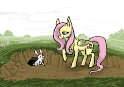 Size: 2000x1404 | Tagged: safe, artist:necromarecy, fluttershy, pegasus, pony, rabbit, g4, animal, raised hoof, solo