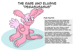 Size: 3052x2100 | Tagged: safe, artist:doodledonutart, oc, oc:pegasusasus, original species, pony, fun fact, high res, horn wing, multiple wings, pegasusasus, puns in the comments, solo, text, this will end in puns, wat, what has magic done, wing arms, wing ears, wings