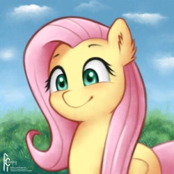 Size: 1620x1620 | Tagged: safe, artist:rcooper, fluttershy, pegasus, pony, cute, ear fluff, female, mare, pink hair, shyabetes, solo