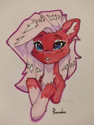 Size: 960x1280 | Tagged: safe, artist:freeedon, oc, oc only, earth pony, pony, chest fluff, solo, traditional art