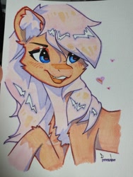 Size: 960x1280 | Tagged: safe, artist:freeedon, oc, oc only, earth pony, pony, solo, traditional art