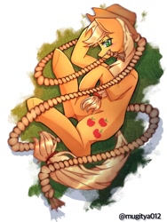 Size: 768x1024 | Tagged: safe, artist:mugitya012, applejack, earth pony, pony, g4, applejack's hat, cowboy hat, female, hat, lying down, mare, mouth hold, rope, simple background, solo, white background