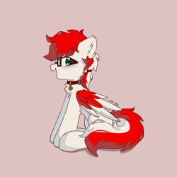 Size: 1634x1634 | Tagged: safe, artist:rieyadraws, oc, oc only, oc:driftbeat, pegasus, pony, chest fluff, collar, cute, ear fluff, glasses, ocbetes, open mouth, pet tag, simple background, sitting, solo, wings