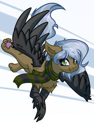 Size: 3000x4000 | Tagged: safe, artist:witchtaunter, oc, oc only, griffon, chest fluff, clothes, commission, ear fluff, flying, griffon oc, happy, paw pads, scarf, simple background, smilinh, solo