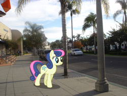 Size: 2592x1944 | Tagged: safe, artist:mlplover94, artist:mundschenk85, bon bon, sweetie drops, earth pony, pony, g4, background pony, california, female, high res, irl, mare, photo, ponies in real life, san diego, smiling, solo, walking