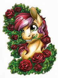 Size: 1726x2320 | Tagged: safe, artist:lupiarts, roseluck, pony, g4, background pony, bust, cute, female, flower, mare, portrait, rose, simple background, solo, traditional art, white background