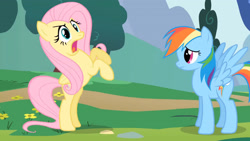 Size: 3410x1920 | Tagged: safe, screencap, fluttershy, rainbow dash, pegasus, pony, g4, season 1, sonic rainboom (episode), bipedal, duo, female, high res, mare, open mouth, spread wings, wings