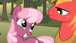 Size: 3410x1920 | Tagged: safe, screencap, big macintosh, cheerilee, earth pony, pony, g4, hearts and hooves day (episode), season 2, cheeribetes, cute, duo, female, grin, high res, looking at each other, looking at someone, male, mare, smiling, smiling at each other, stallion