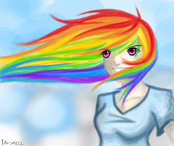 Size: 3752x3152 | Tagged: safe, artist:tao-mell, rainbow dash, human, g4, female, high res, humanized, solo, windswept hair