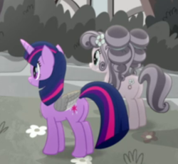 Size: 499x462 | Tagged: safe, screencap, petunia petals, twilight sparkle, alicorn, earth pony, pony, g4, my little pony: rainbow roadtrip, butt, cropped, desaturated, female, mare, plot, plot pair, twibutt, twilight sparkle (alicorn), wing bling, wings