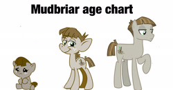 Size: 2048x1074 | Tagged: artist needed, safe, mudbriar, earth pony, pony, g4, age progression, age regression, baby, baby pony, colt, cute, foal, looking at you, male, simple background, solo, stallion, white background, younger
