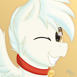 Size: 1000x1000 | Tagged: safe, artist:exobass, oc, oc:bolt the super pony, pegasus, pony, collar, icon, one eye closed, pegasus oc, wings, wink
