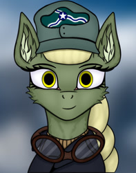 Size: 600x761 | Tagged: safe, artist:wailks, oc, oc only, earth pony, pony, equestria at war mod, bust, clothes, ear fluff, female, glasses, hat, mare, portrait, solo