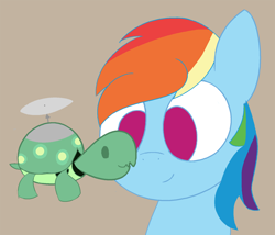 Size: 3344x2862 | Tagged: safe, artist:izzy64, rainbow dash, tank, pegasus, pony, tortoise, g4, high res