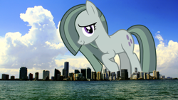 Size: 1920x1080 | Tagged: safe, artist:mrkupkake, artist:thegiantponyfan, marble pie, earth pony, pony, g4, cute, female, florida, giant pony, giant/macro earth pony, giantess, hair over one eye, highrise ponies, irl, looking at you, macro, marblebetes, mare, mega giant, miami, photo, ponies in real life