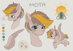 Size: 4096x2892 | Tagged: safe, artist:nettlemoth, oc, oc only, oc:moth, pegasus, pony, flying, freckles, mouth, reference sheet, smiling, solo, spread wings, wings