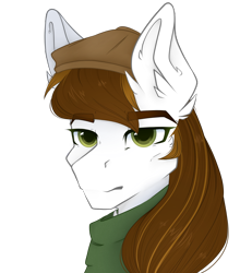 Size: 2500x2700 | Tagged: safe, artist:bananasplitedy, oc, oc only, oc:obermedic, bust, ear fluff, hat, high res, portrait