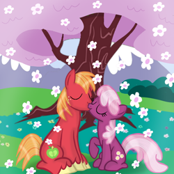 Size: 720x720 | Tagged: safe, artist:mlplary6, big macintosh, cheerilee, earth pony, pony, g4, duo, eyes closed, female, flower, kiss on the lips, kissing, male, mare, ship:cheerimac, shipping, stallion, straight, tree